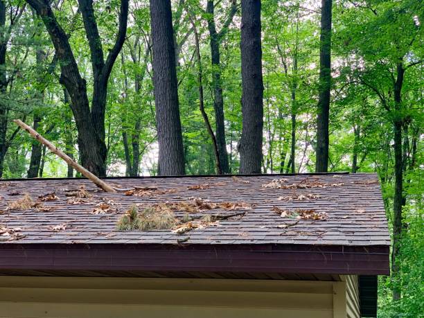 istock Tree branch puntures a roof after a severe storm 1299764334