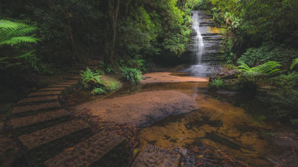istock Pool of Siloam. Blue Mountains, NSW 1299768047