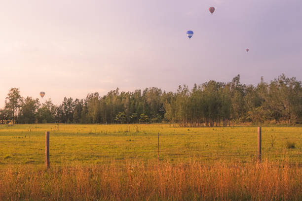 Golden sunlight on a summer morning cast over a scenic rural landscape with tourist hot air balloons in the Hunter Valley region, renowned wine country in NSW, Australia.