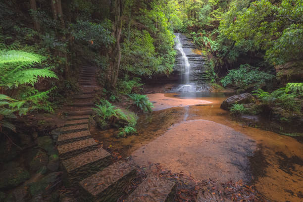 piscina de siloam. montañas azules, nsw - rainforest waterfall australia forest fotografías e imágenes de stock