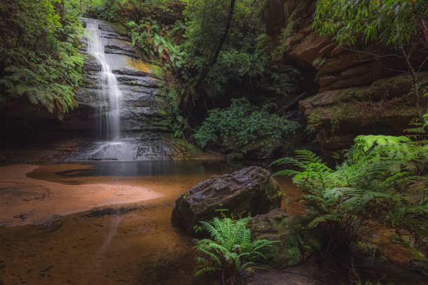 Pool of Siloam. Blue Mountains, NSW