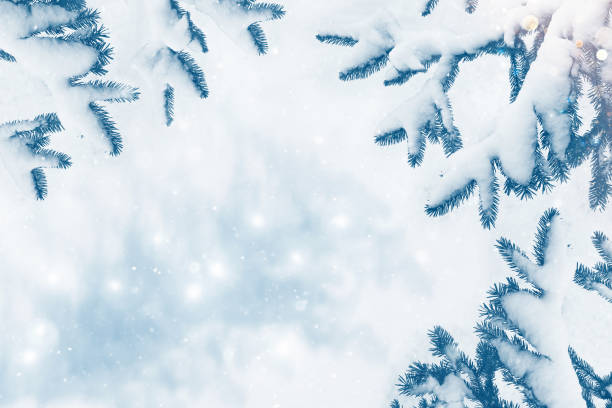 istock winter forest with snow covered trees. outdoor 1299775519