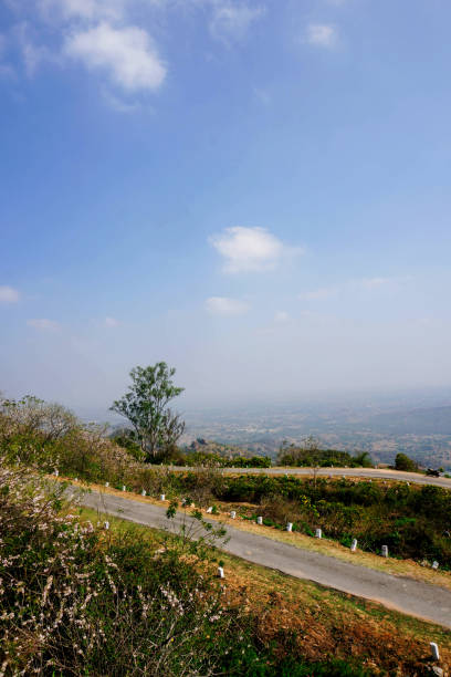 beautiful landscape of mountain range and forest