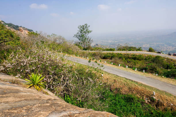 istock beautiful landscape of mountain range and forest 1299778430