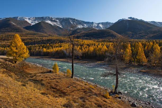 istock Cloudless autumn in the mountain valleys of Altai 1299779146