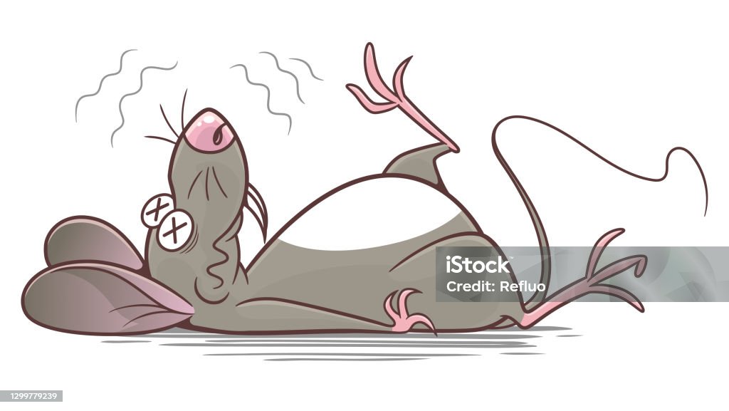 Ilustración de Plaga De Ratón De Dibujos Animados Derrotada y más Vectores Libres de Derechos de Rata - Rata, Muerto, Ratón - Animal - iStock Ilustración de Plaga De Ratón De Dibujos Animados Derrotada y más Vectores Libres de Derechos de Rata - Rata, Muerto, Ratón - Animal - iStock