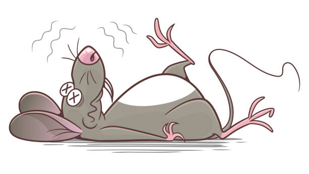 illustrazioni stock, clip art, cartoni animati e icone di tendenza di peste di topo dei cartoni animati sconfitto - ratto