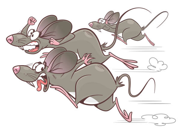 547 Rat Running Illustrations & Clip Art - iStock | Rat running away