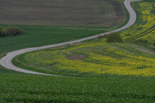 istock Spring landscape of hilly fields in Moravia 1299780228