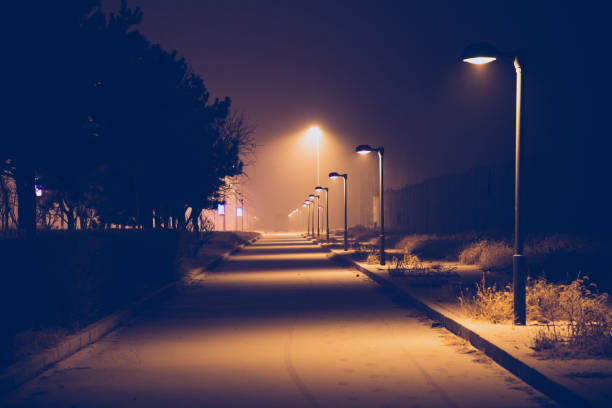 istock Street at night after snow in winter 1299782055
