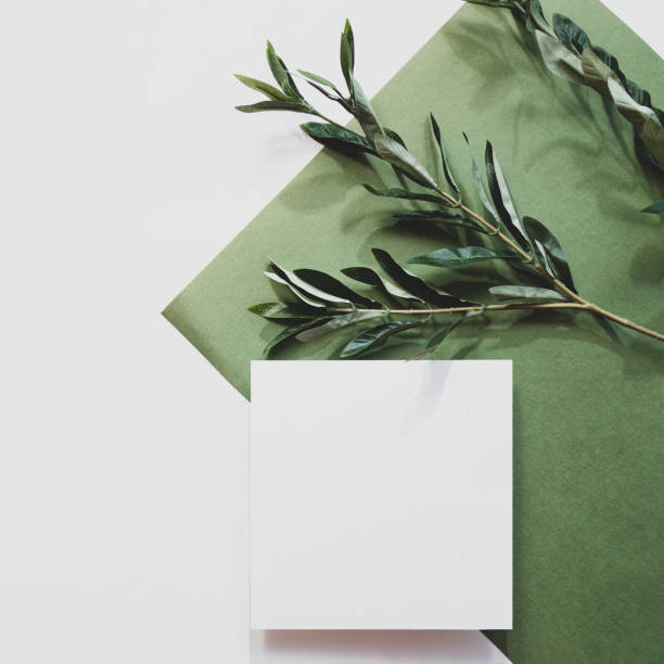 istock White sheet of paper, eucalyptus branch and long shadows. Empty postcard scene mockup. Green background in sunlight. Flat lay, top view. 1299782289