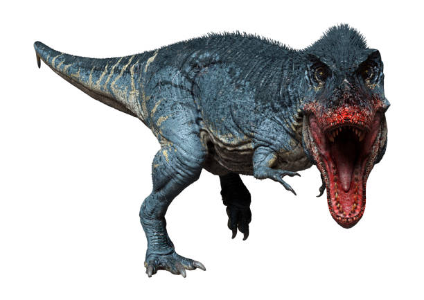istock 3D illustration dinosaur Tyrannosaurus Rex on white 1299782514