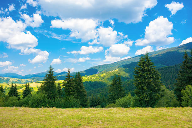 istock rural landscape in carpathian mountains 1299785336