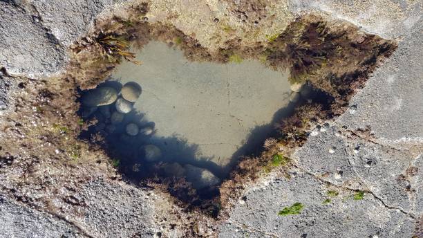 istock Rock Pool in the shape of a heart. 1299786949