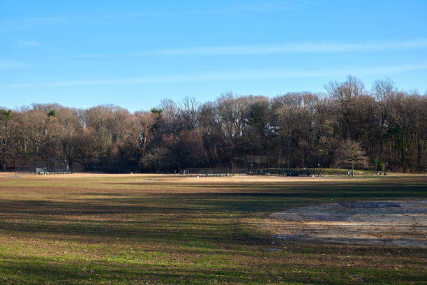 istock Dramatic shadows of trees fall across the baseball fields of Prospect Park, Brooklyn, NYC on a clear winter day. 1299787552