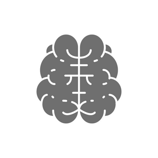 ilustrações de stock, clip art, desenhos animados e ícones de brain, mind, intelligence, human organ grey icon. - brain human head people human internal organ