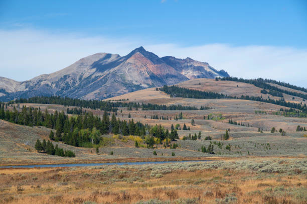 Mountain scenics in Yellowstone National Park, Wyoming, USA