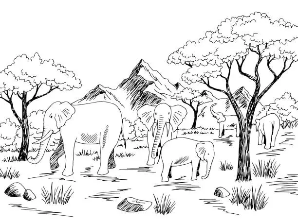 Vector illustration of Elephant in savannah graphic black white landscape sketch illustration vector