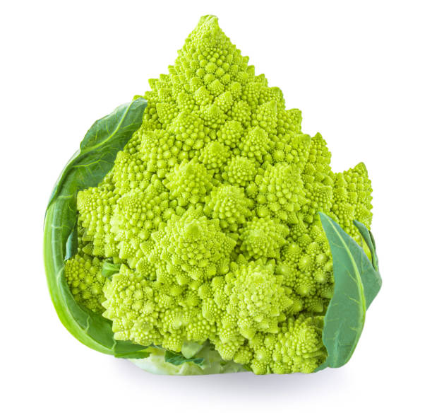 istock Romanesco broccoli isolated on white background. Roman cauliflower macro. 1299791400