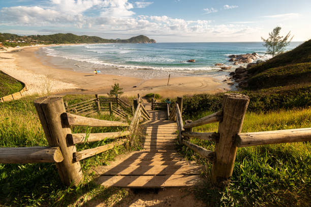 Stairs to the beach The way to the beach in Brazil through the wooden stairs florianópolis stock pictures, royalty-free photos & images