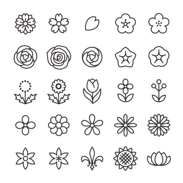 ilustraciones, imágenes clip art, dibujos animados e iconos de stock de 25 conjunto de iconos no.17 - tulip sunflower single flower flower