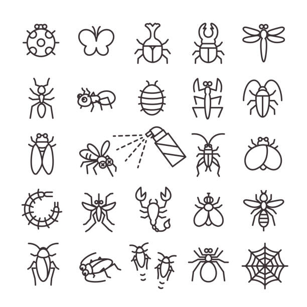 ilustraciones, imágenes clip art, dibujos animados e iconos de stock de conjunto de iconos criaturas 25 - rhinoceros beetles
