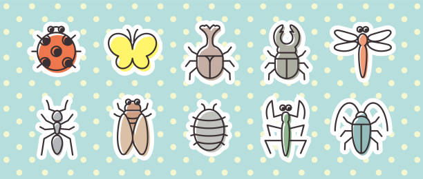 10 icon sets Creature/Insect Color Icon Set longhorn beetle stock illustrations