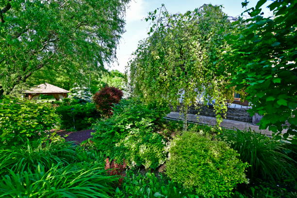 istock Poltava is a city in Ukraine. 1299798242