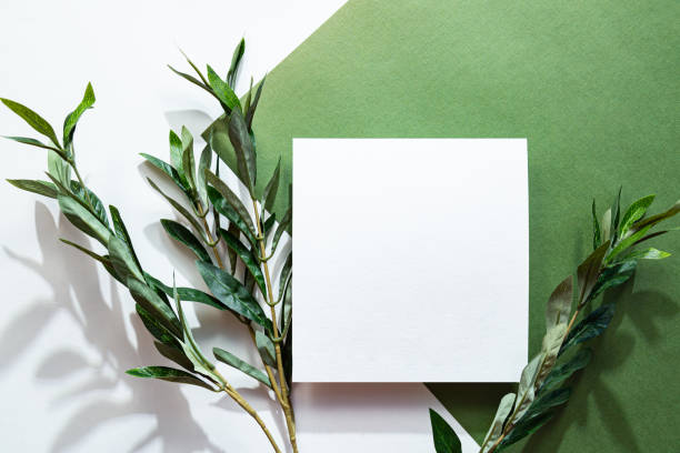 istock White sheet of paper, eucalyptus branch and long shadows. Empty postcard scene mockup. Flat lay on the green background in sunlight, top view. 1299798560