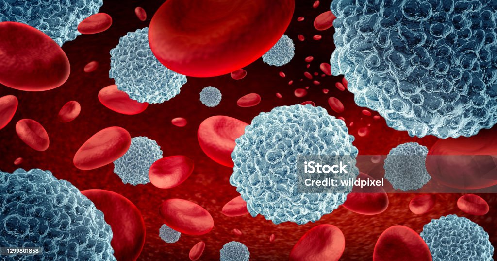 White Blood Cells White blood cells and Immunotherapy lymphocyte cells with blood as a concept of the immune system through immunology as microscopic biology symbol inside the human body as a 3D illustration. White Blood Cell Stock Photo