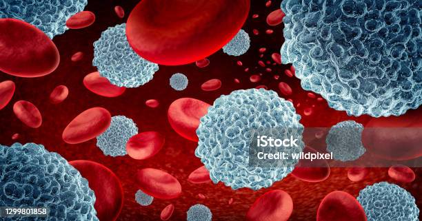 White Blood Cells Stock Photo - Download Image Now - White Blood Cell, Lymphocyte, Immunology