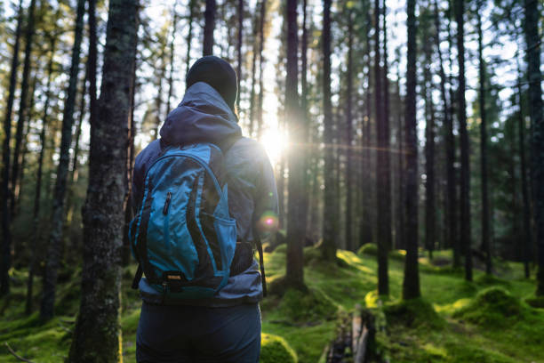 istock Woman hiking outdoors in forest with a spring warm sun 1299802415