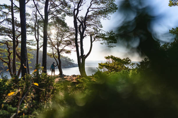 Woman hiking outdoors in forest and ferns: spring warm sun