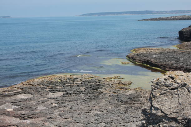 istock Shallow Marmara Sea Waters and Green Algae at Kefken Pink Rocks 1299805769