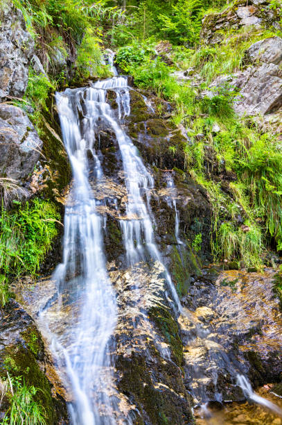 istock Fahler waterfall in the Black Forest, Germany 1299806748