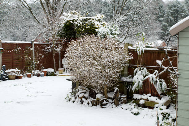 istock Domestic garden outside in winter time covered in snow 1299808270