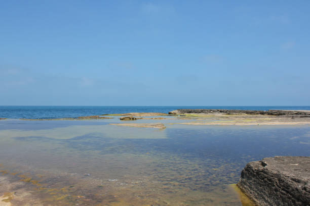 istock Shallow Marmara Sea Waters and Green Algae at Kefken Pink Rocks 1299809183