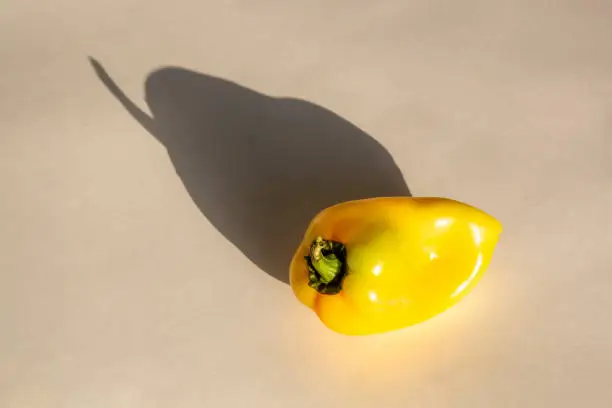 Yellow sweet pepper. Whole vegetable with shadow on textured background.