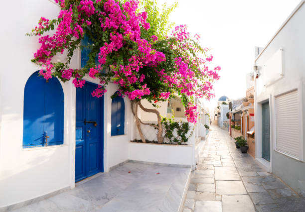 istock Oia, traditional greek village 1299809848