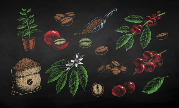 ilustraciones, imágenes clip art, dibujos animados e iconos de stock de saco de granos de café y hojas - coffee bean coffee crop heap backgrounds