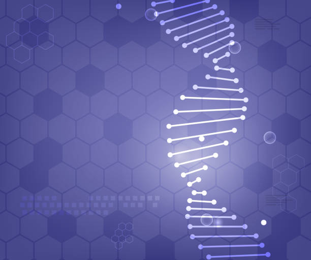 dna hexagon bg scientific research dna design element backgroun chromosome illustrations stock illustrations