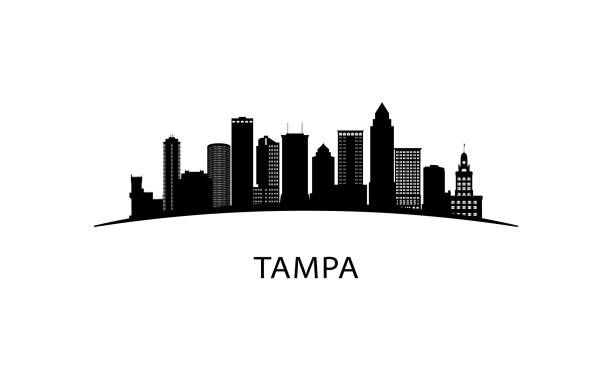Tampa - Banco de fotos e imágenes de stock - iStock