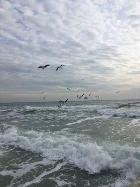 istock a beautiful view on big waves at the sea 1299817794