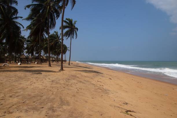 istock Coco Beach with Coconut Trees in Avepozo, Togo, West Africa. 1299820521