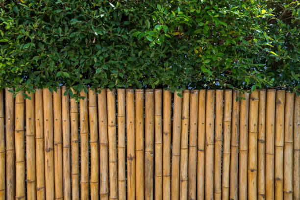 istock Bamboo fence and green leaf for home decoration 1299820536