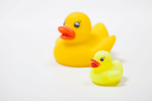 istock Yellow rubber duck mother and child 1299821781