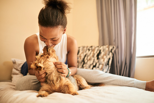 Smiling young woman sitting on her bed at home and playing with her cute little dog