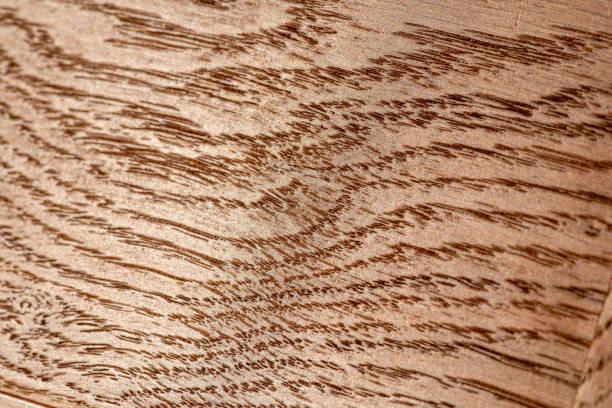 istock Pearlescent transparent paint polish. Close-up Oak Texture with natural wood grain patterns. Smooth wooden surface for the design of facades and floors. Ash for template background 1299823594