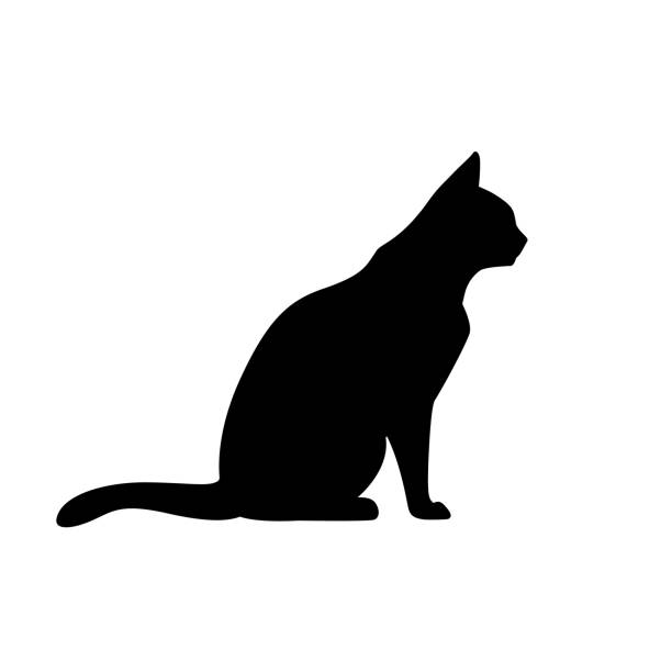 черный кот силуэт на белом фоне. иллюстрация вектора иконы. - undomesticated cat white background pattern isolated stock illustrations