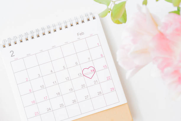 istock Valentines day composition with calendar page and pink tulips in a vase on a light background 1299829310